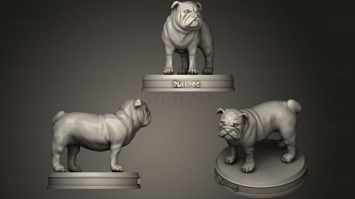 Статуэтки животных Realistic Bulldog